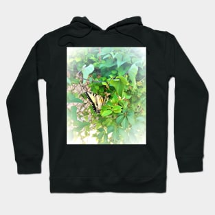 Eastern Tiger Swallowtail Butterfly in Habitat Hoodie